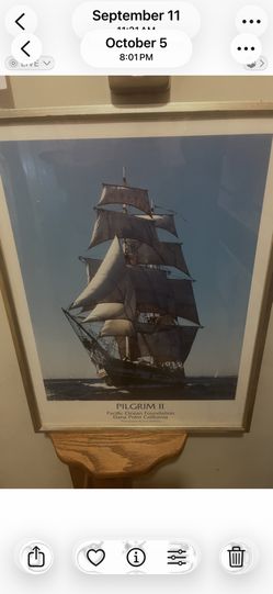 Framed Print