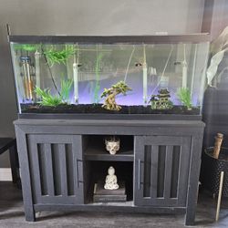 55 gal fish tank with stand