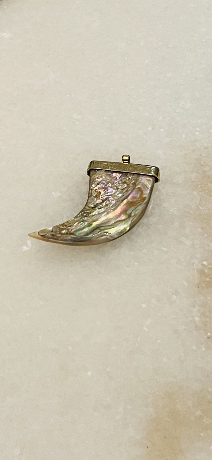 Abalone Shell Pendant