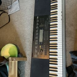 Casio Piano And Stand