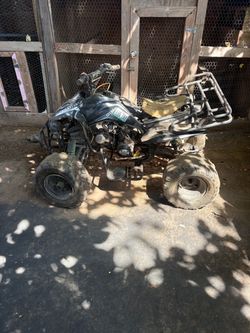 Quads