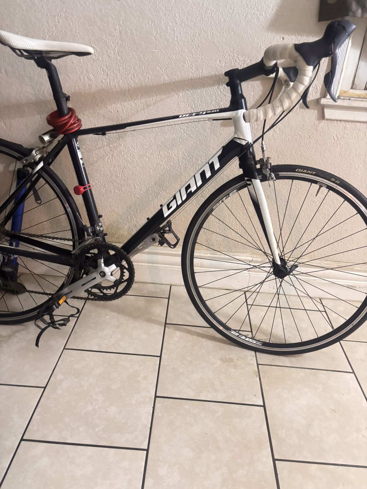 Giant"Light Carbon Bike