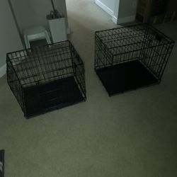 Dogs Cages