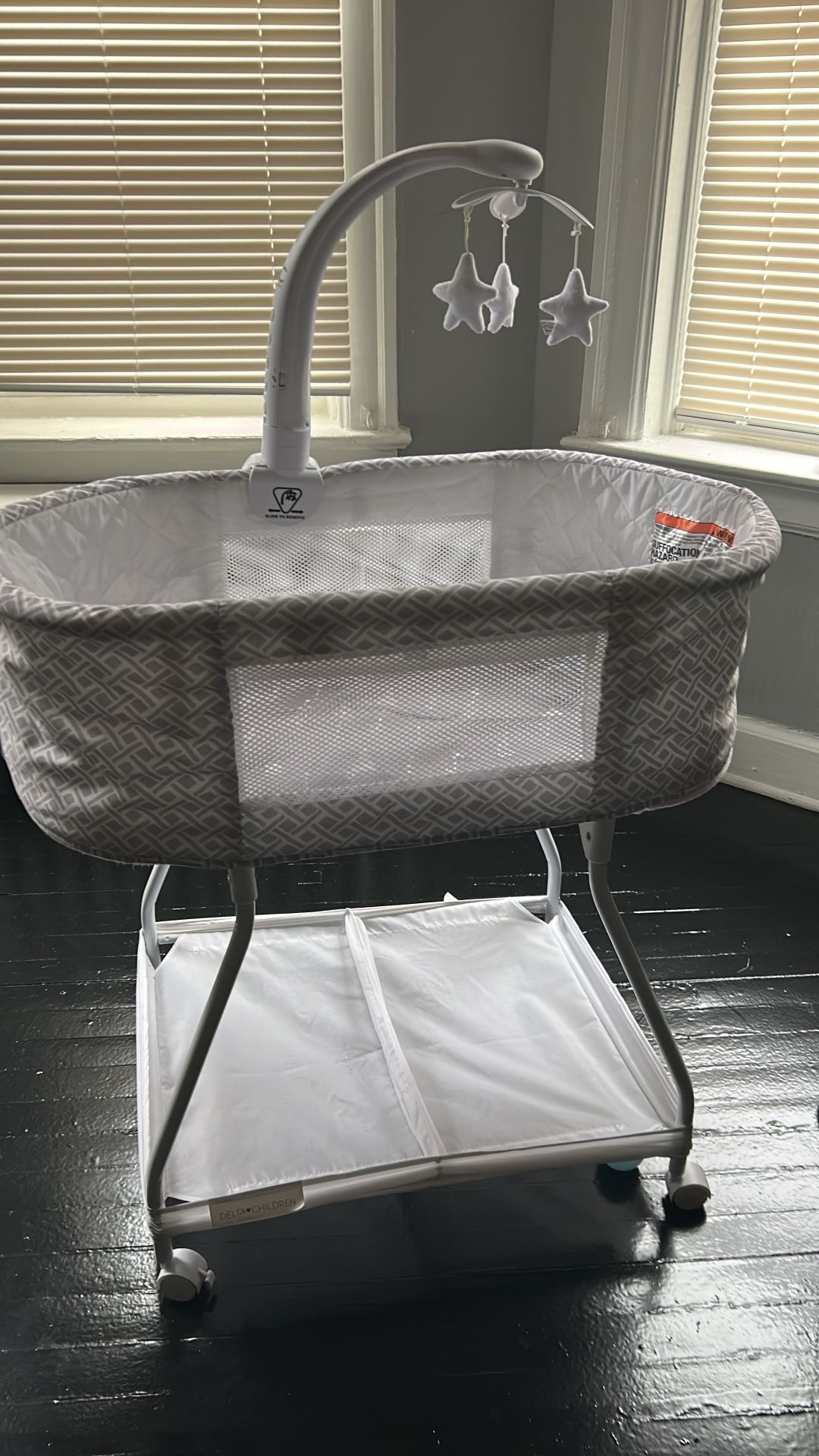 Delta Children Bassinet