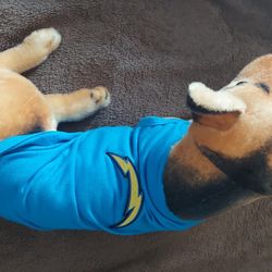 Chargers Pet Clothes Clothing Shirt New