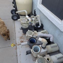 Pool Pumps