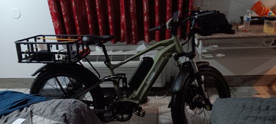 Electric Bike Haoqi Cheetah