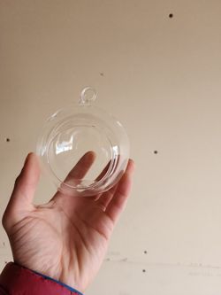 Air Plant 🪴 Globes 🌎 