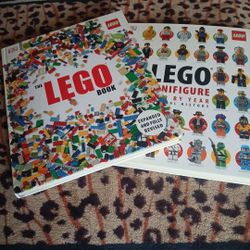 The Lego Book, Lego MinifigureYear By Year
