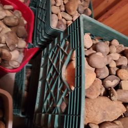 2-6 In River Rock  Cheap price 100lb Crates