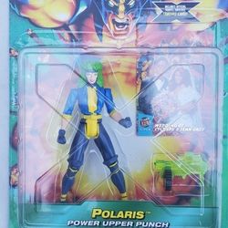 Polaris From The X-Men