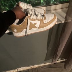 Bapesta 