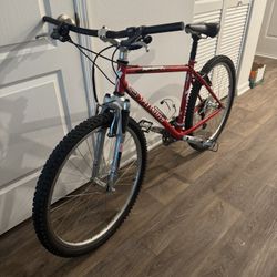 Specialized Rockhopper Mountain Bike 