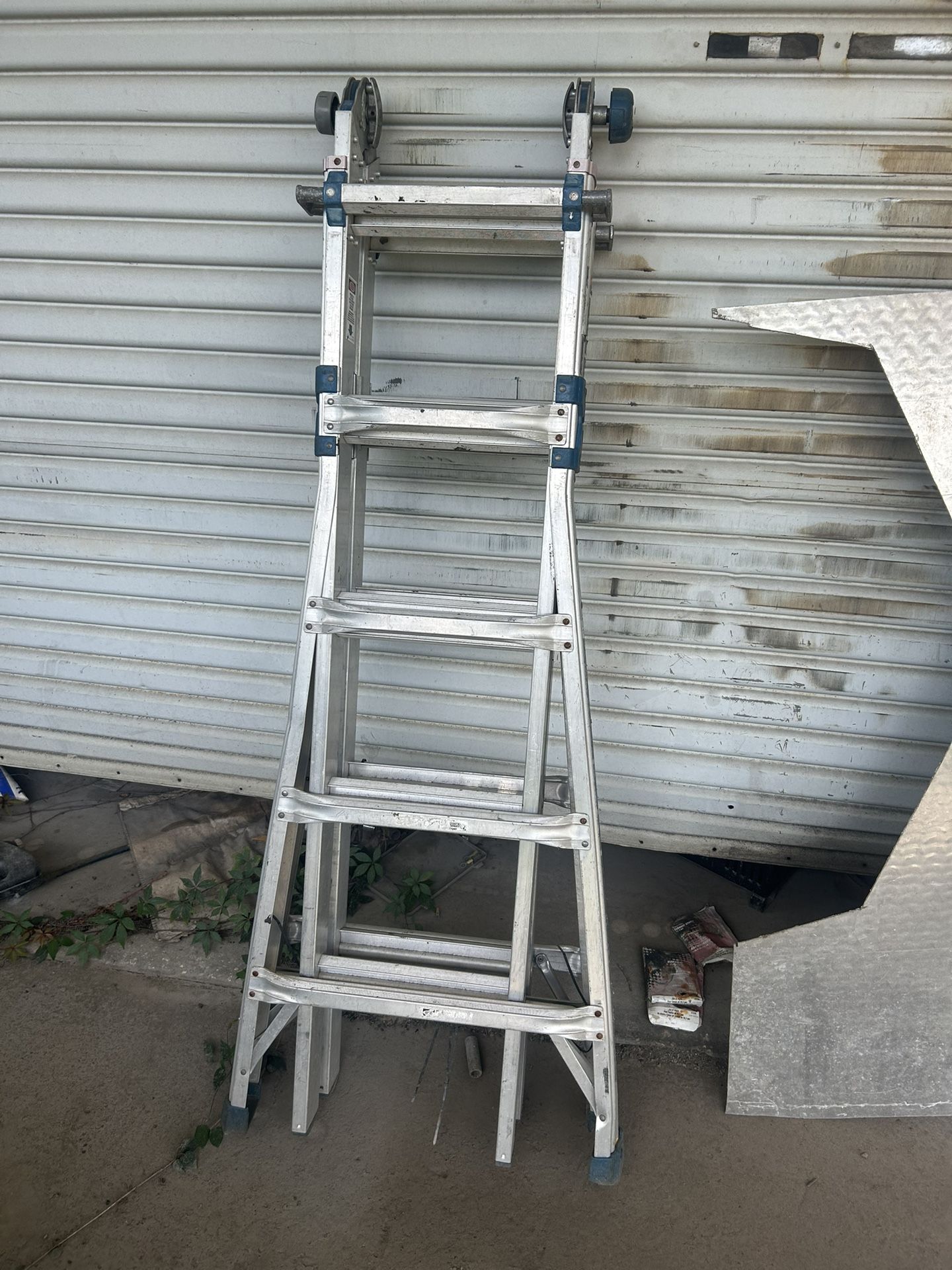 Werner Ladder