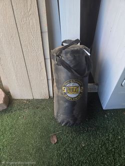 Punching bag