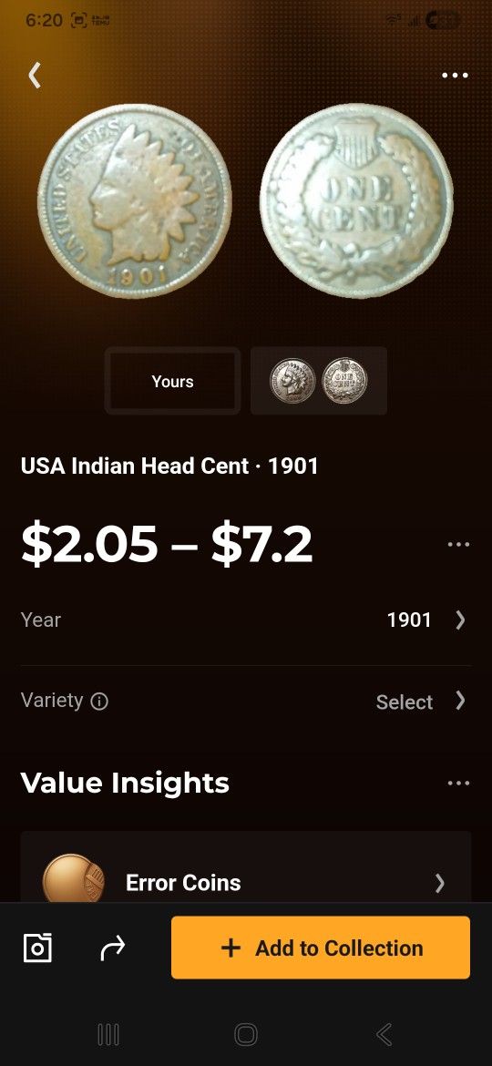 USA Indian Head 1 Cent Pennies 