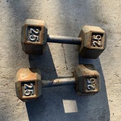Two 25lbs Dumbbells