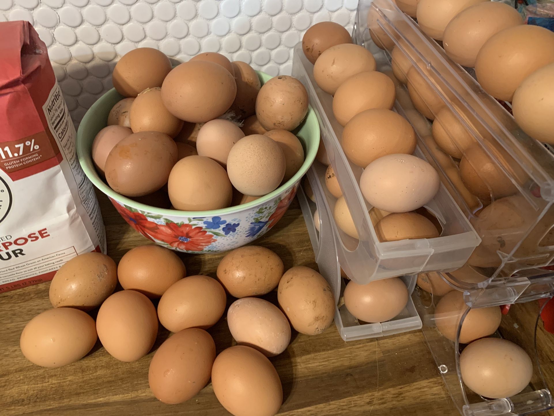 Eggs