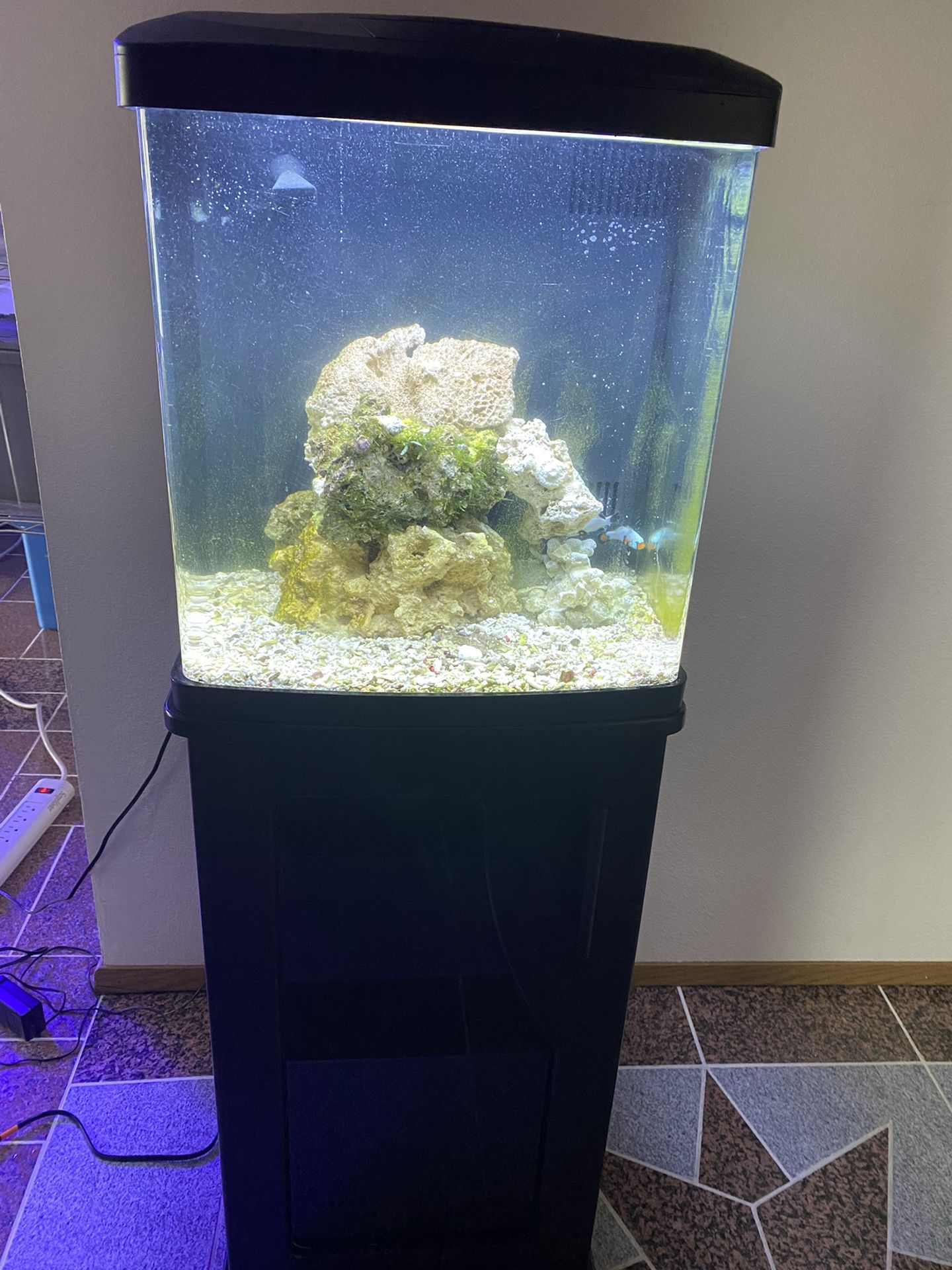 16 gallon corallife biocube compare set up