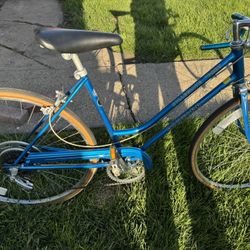 schwinn  collegiate sport vintage 