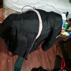 Brand New UGG Winter Coat