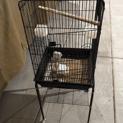 Bird Cage
