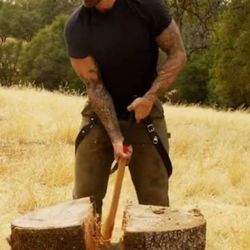 Oak wood/ eucalyptus wood