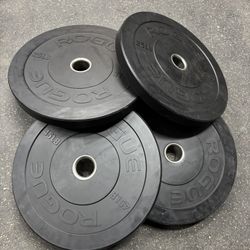 Rogue Bumper Weights 
