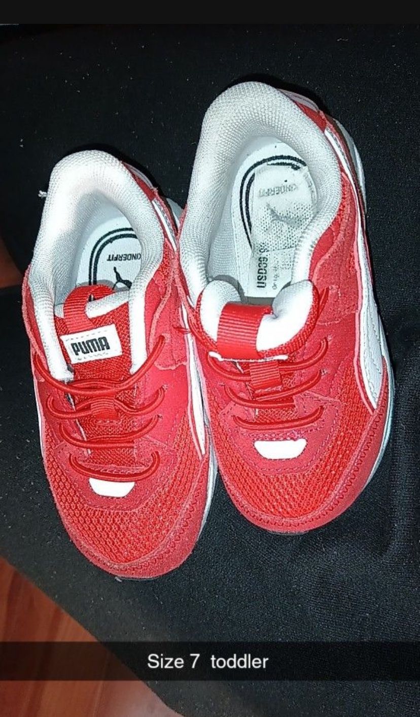 Pumas