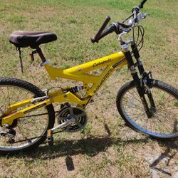 Mountain Bike - Used