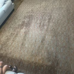 9x13 Area Rug