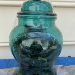 Apothecary Jar with Lid Blue nice item found in my storage boxes