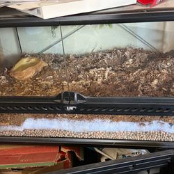 Exo Terra 20 Gal Reptile Enclosure 