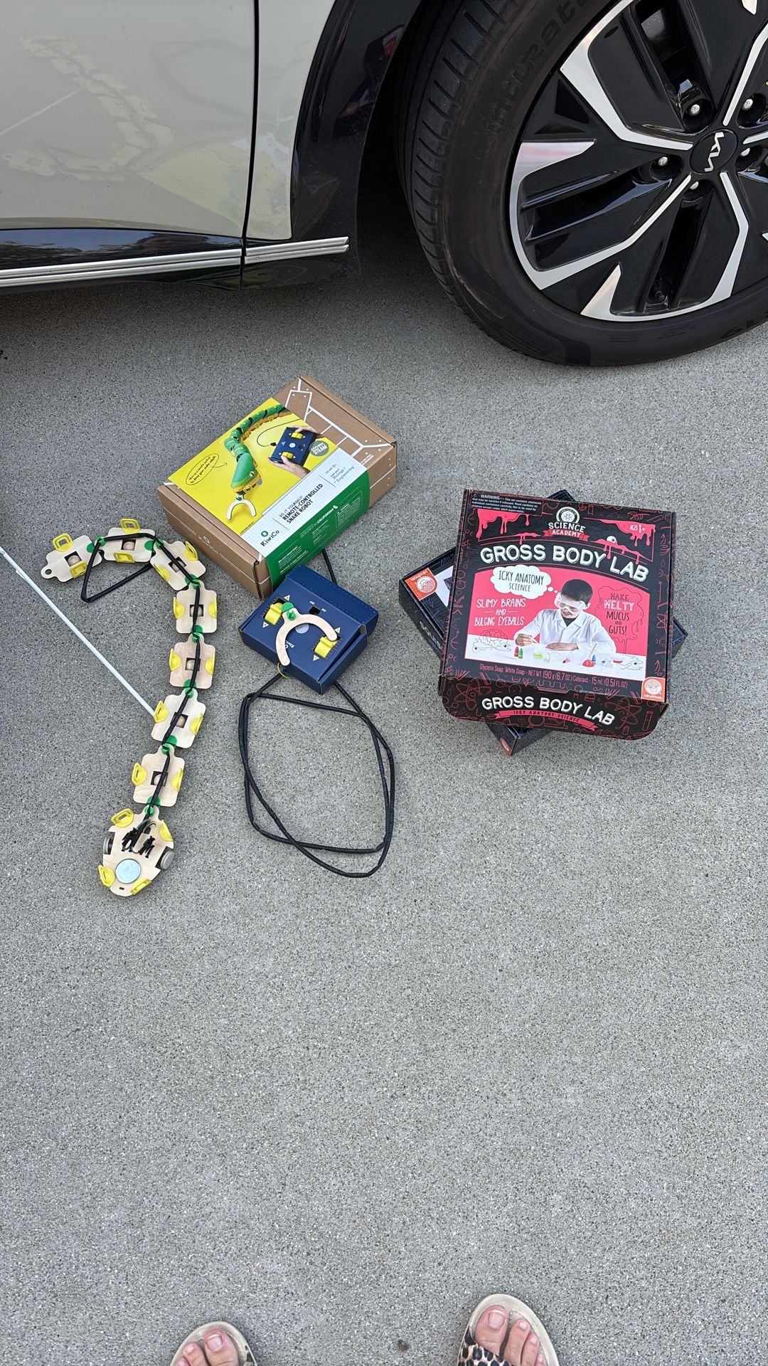 Free Kids Crafts, Art Supplies, Infant Life, Jacket, Scale, Snake, Chaps, Men’s Rain, Boots, Clothing, And Miscellaneous Items