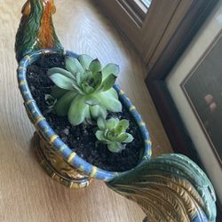 Pot With Plant Decorations 