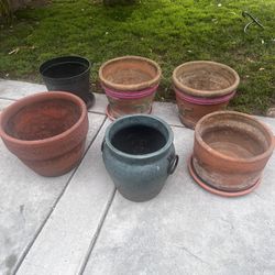 Flowers Pots 