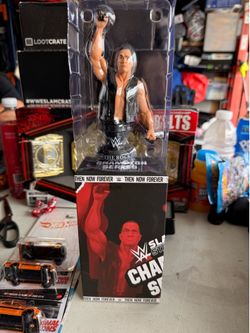 Wwe slam stars The Rock
