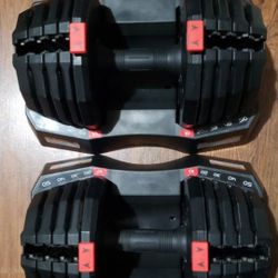 Weider 100 lb.  Adjustable Dumbbell Set Weights OBO