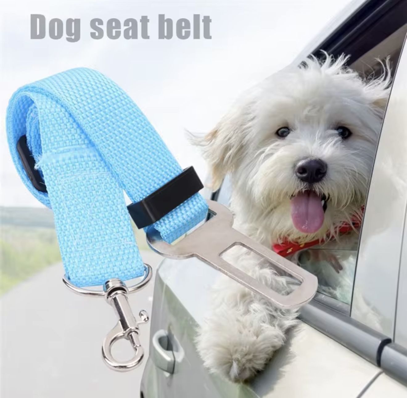 Dog Seat Belt