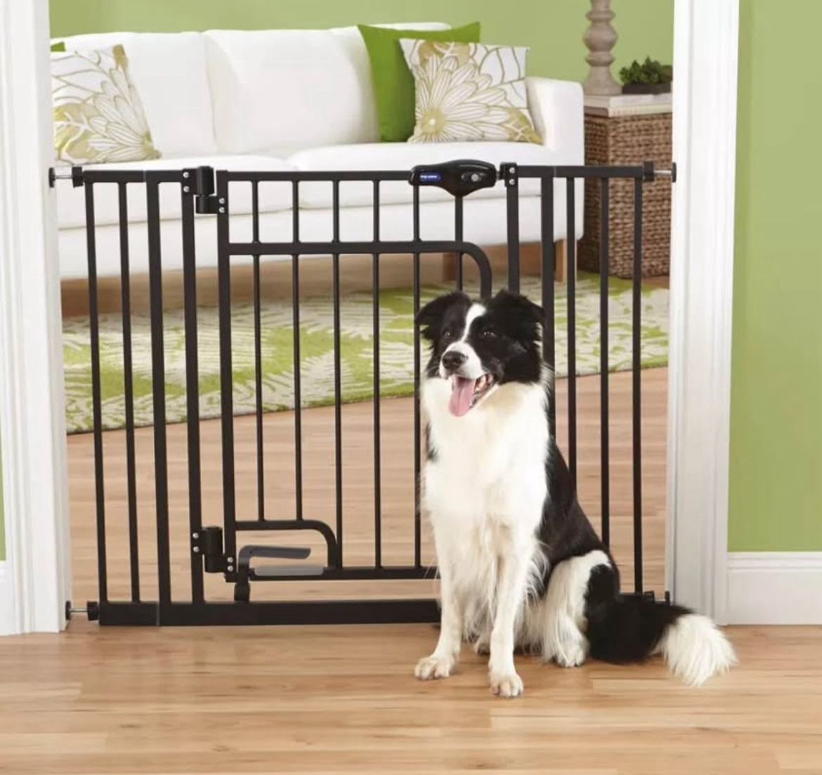 Top Paw Handsfree Dog Gate