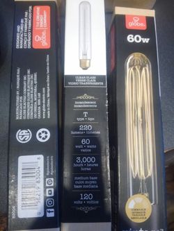 Globe vintage 60W Type T light bulbs