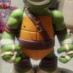 24 In Ninja Turtle 