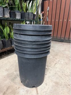 Pots 15g