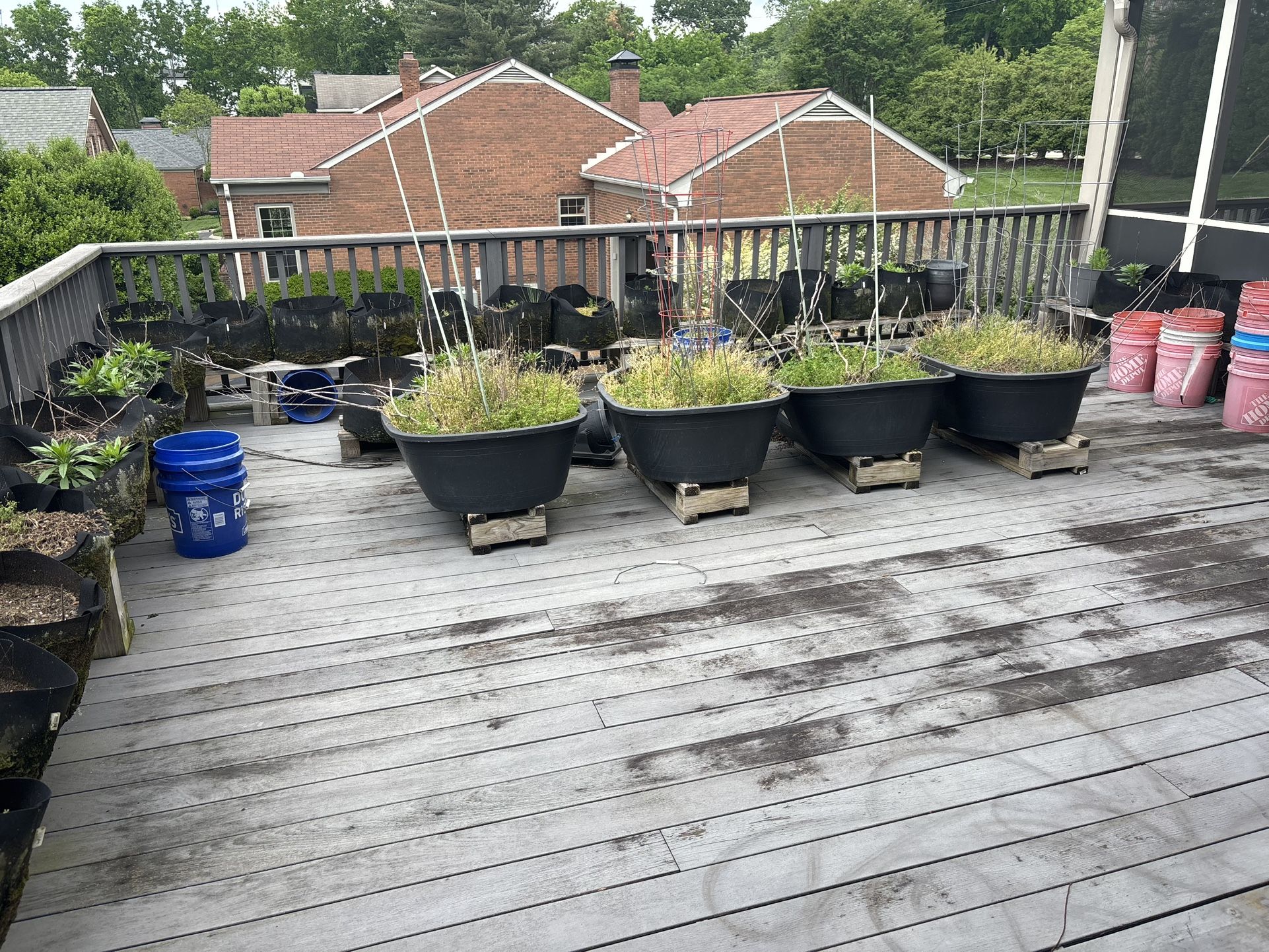 Soil Up For Grabs