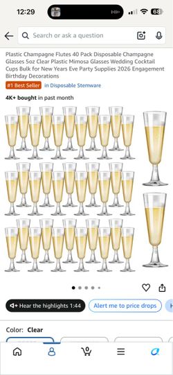 Plastic Champagne Flutes