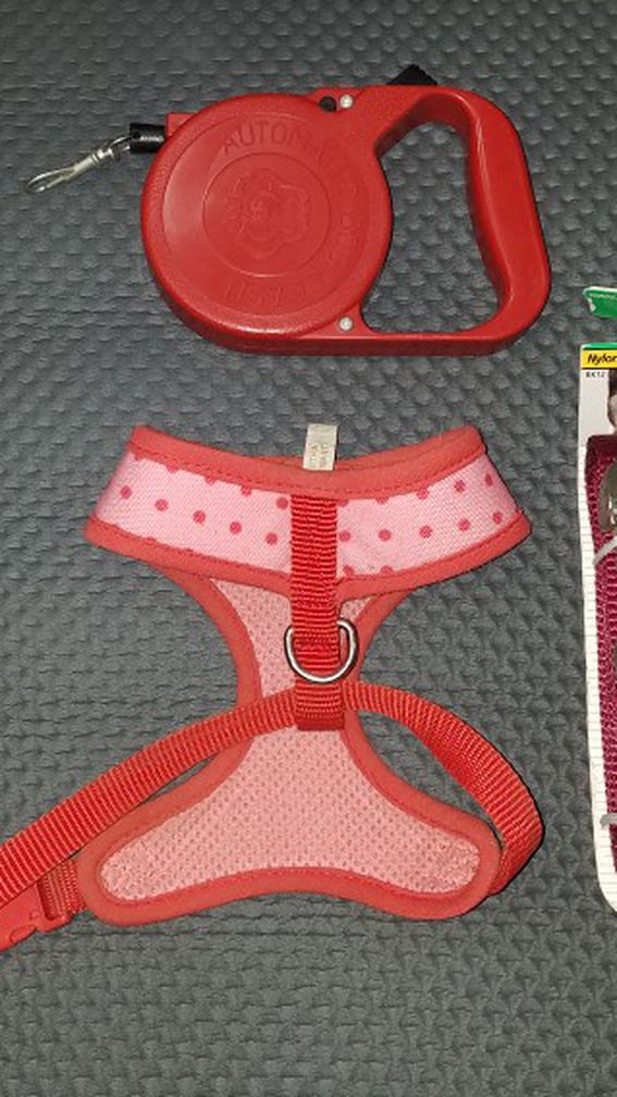 Small Dog Harness With Two Leads