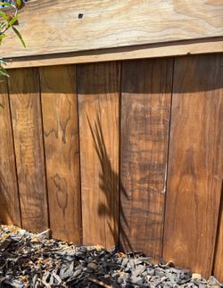 Shiplap thermowood siding cladding. Radiata pine. About 65sq ft