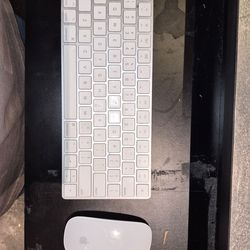 Magic Mouse and Keyboard combo