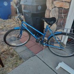 Adult Bike 