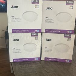 Juno Led 